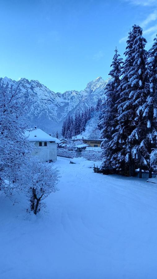 Appartement Darenato à Santo Stefano Di Cadore Extérieur photo
